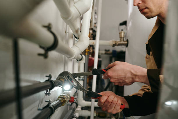 Best Same-Day Plumbing Service  in Tolono, IL