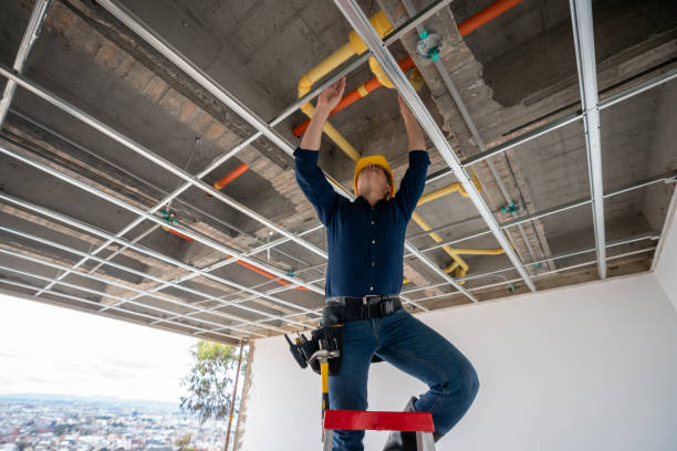 Best 24-Hour Plumber Near Me  in Tolono, IL